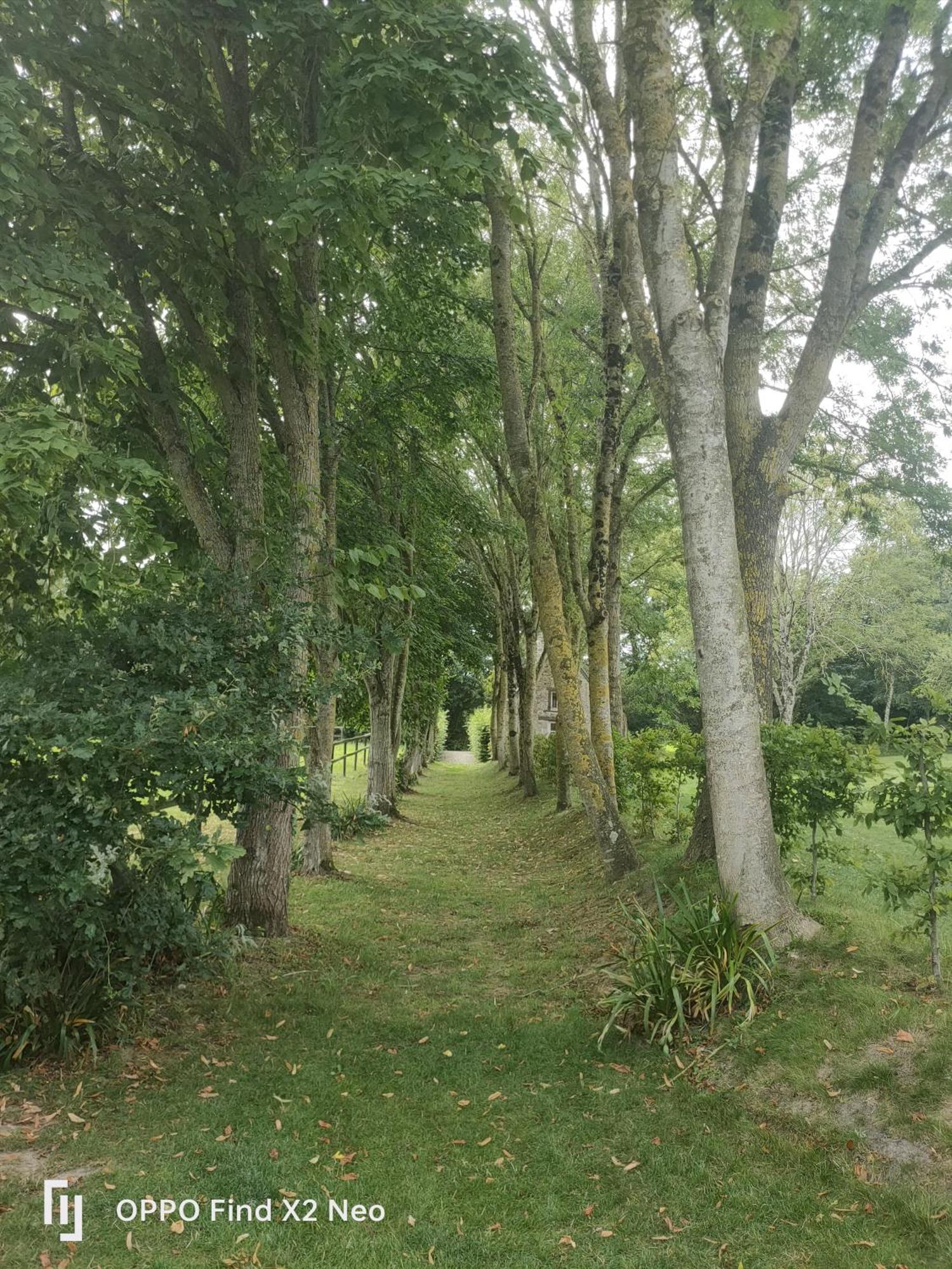 מלון Domaine Du Manoir De Vains מראה חיצוני תמונה